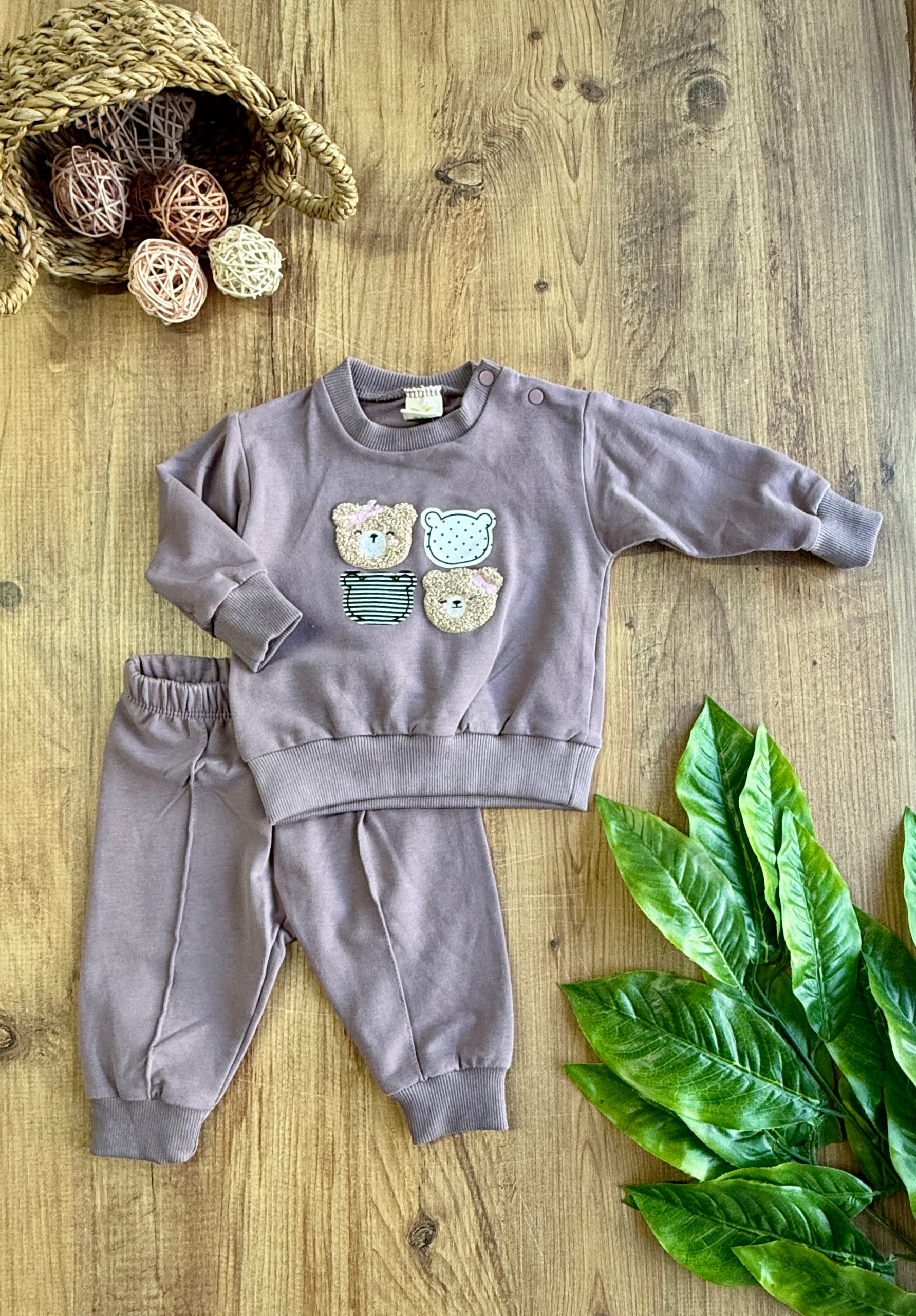 Air 4lü ayıcık Kız Bebek Takımı
